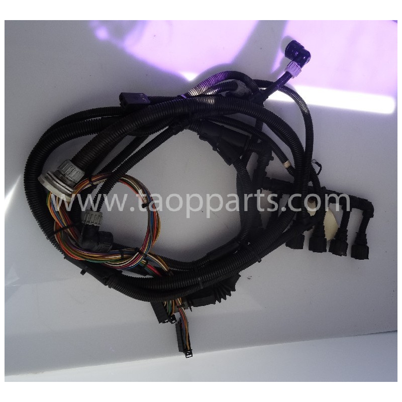 Instalação 11145528 para Pá...