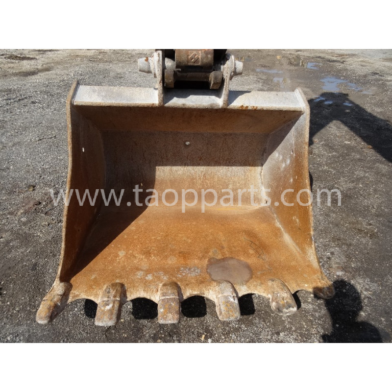 Cupe 55555-00084 pentru...