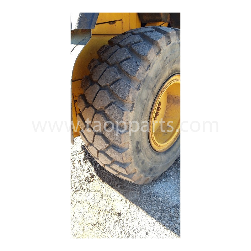 Neumático Radial...