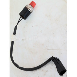 ハルリンドウ　1212 ハルリンドウ 1212 ハルリンドウの ハルリンドウ - 岩崎園芸