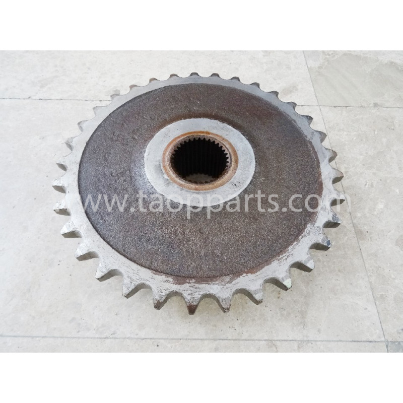 Corona dentata Komatsu... Corona dentata Komatsu...