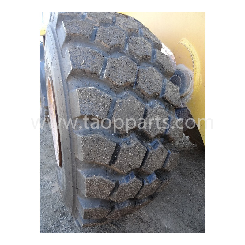 Neumático Radial TECHKING...