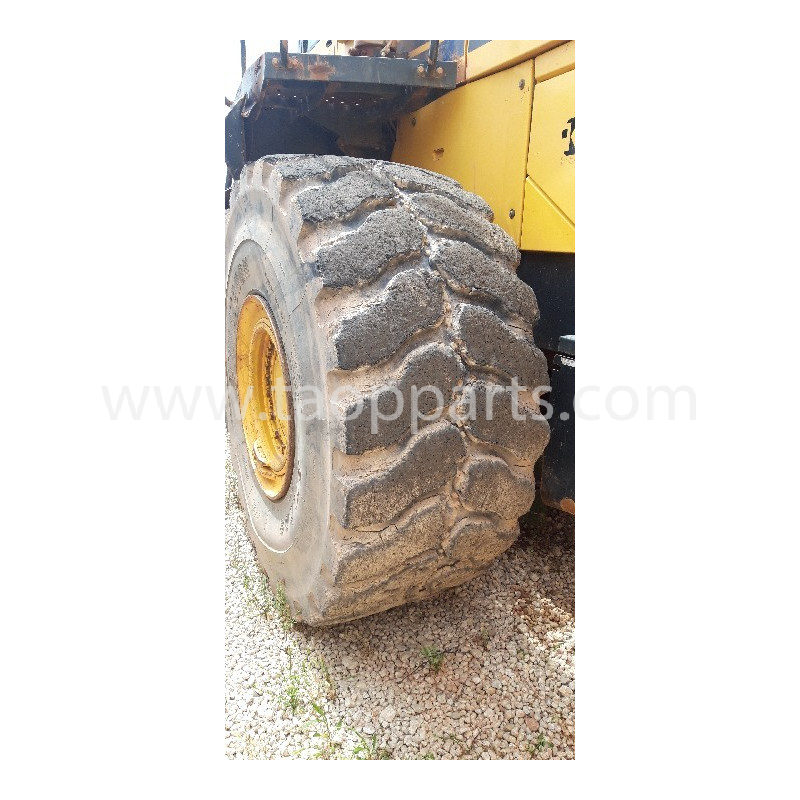 Doublecoin Radial tyres...