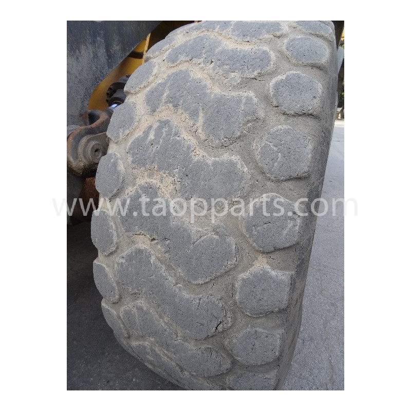 Doublecoin Radial tyres...