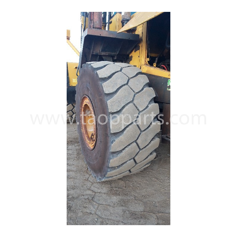 Radial tyres TRIANGLE...