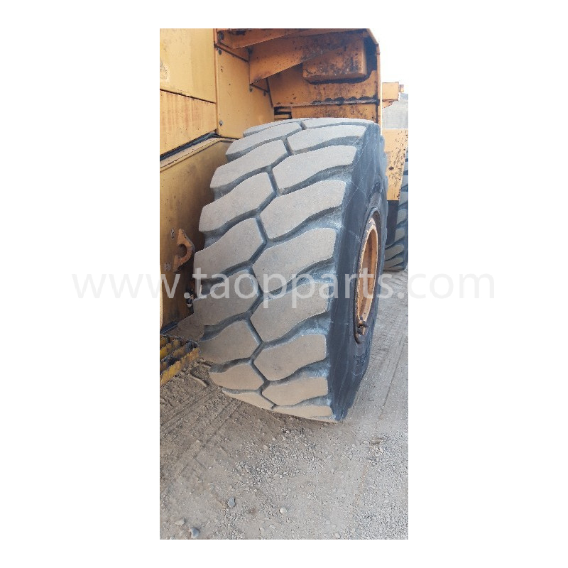 Radial tyres TRIANGLE...