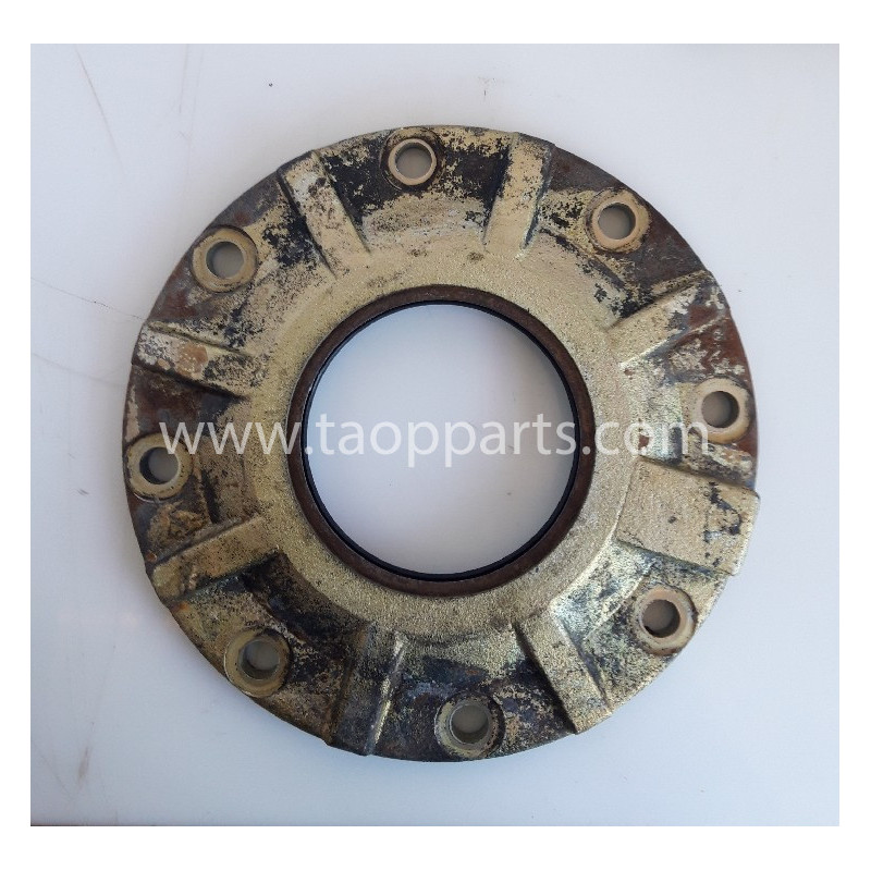 Tapa 4931489 de Pala...