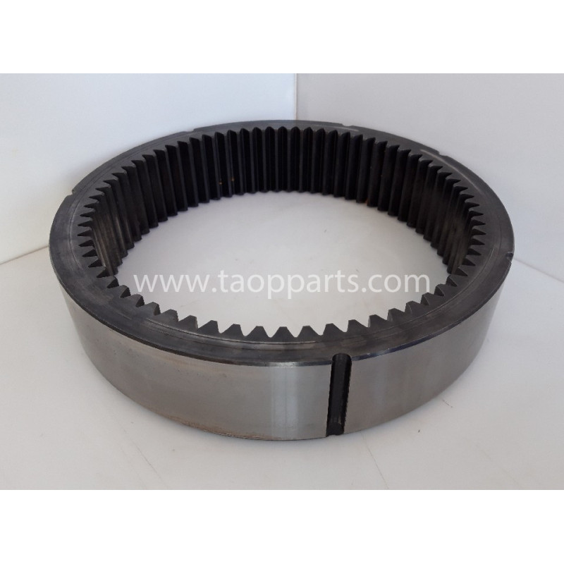 Corona dentata Komatsu... Corona dentata Komatsu...