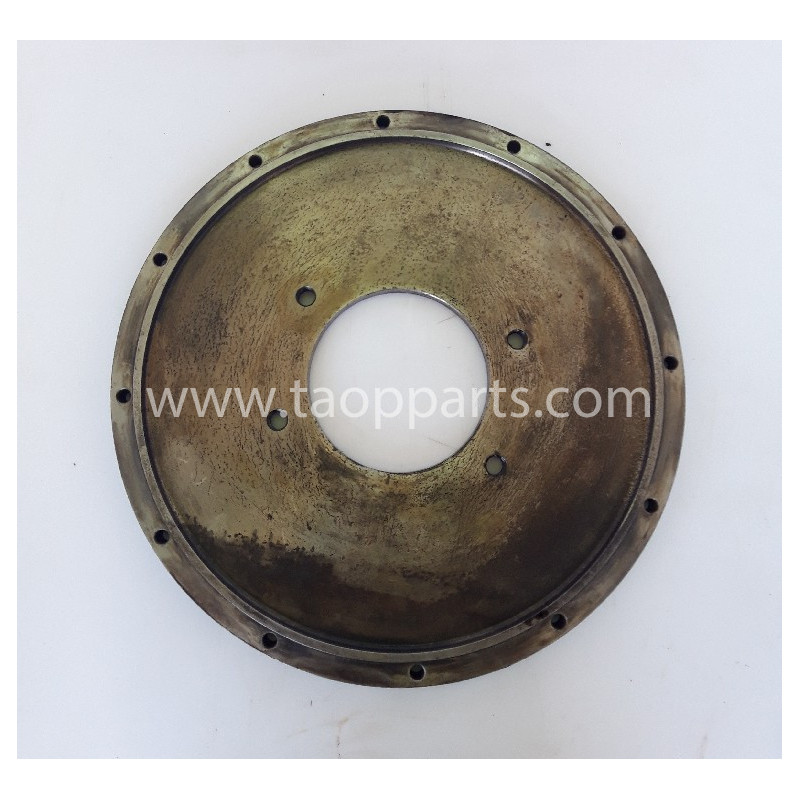 Copertura usata 14501923...