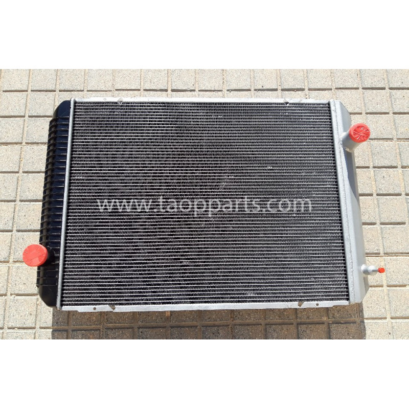 Radiator 11110649 pentru...