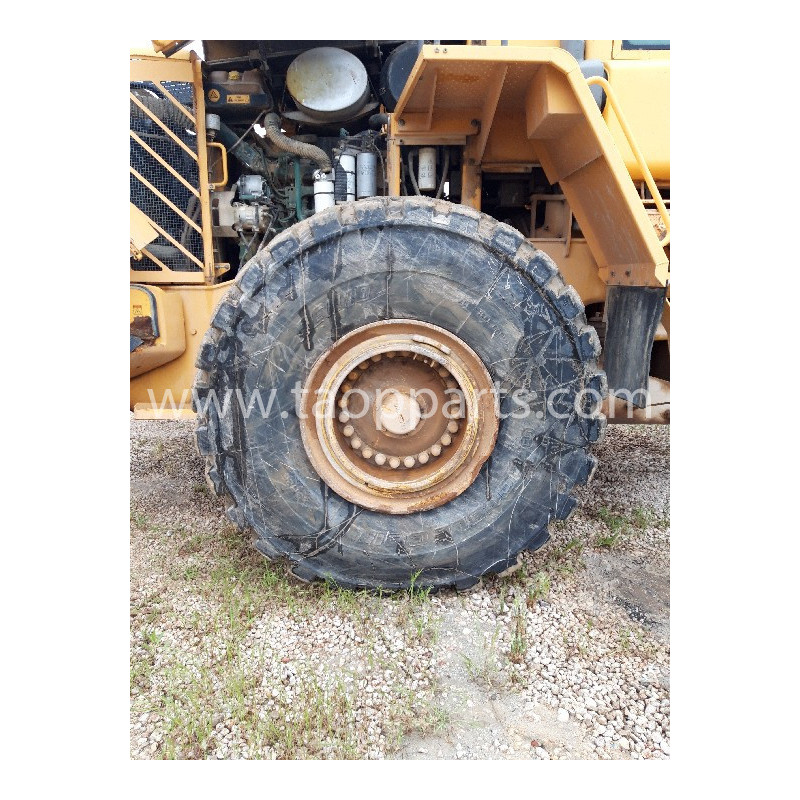 Radial tyres Doublecoin...