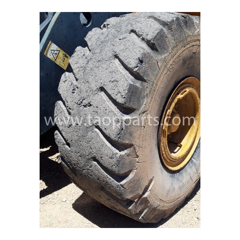 Neumático Radial SG...