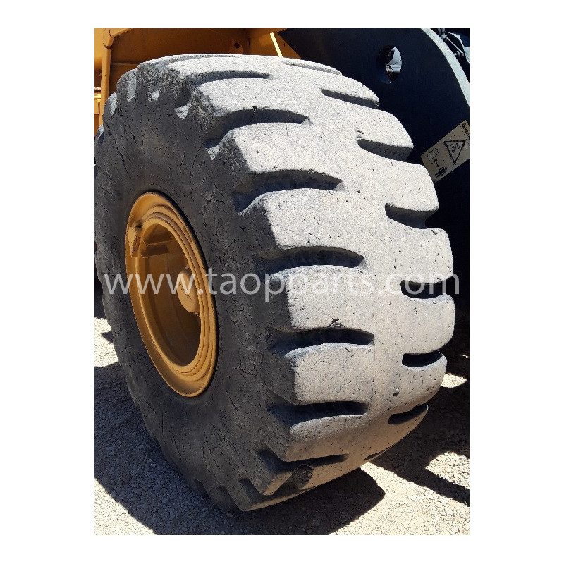 Neumático Radial SG...