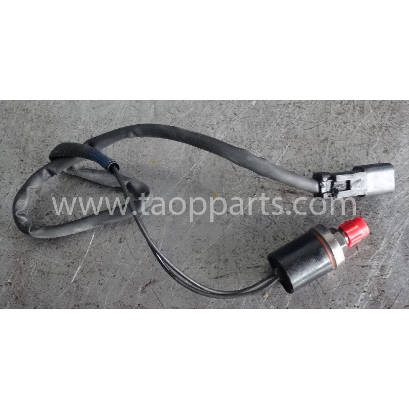 Sensor 421-43-32921 for...